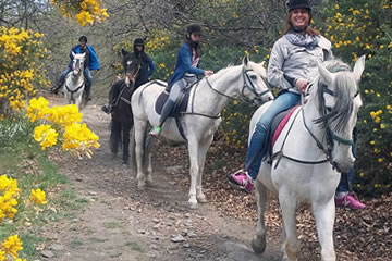 ruta en caballo por la alpujarra