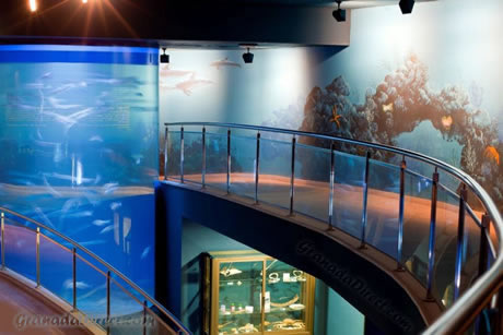 acuario gigante en la entrada