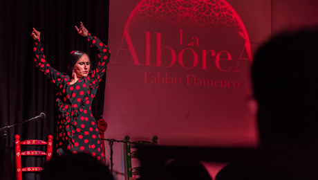 espectaculos de flamenco arbolea
