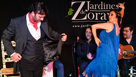 espectaculos de flamenco zoraya