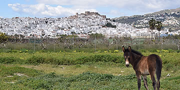 vista del casco antiguo de vista guiada por salobreña