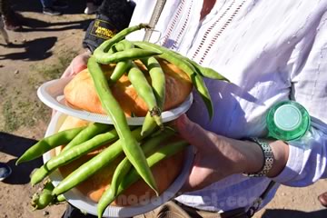 salaillas y habas en la romeria de granada