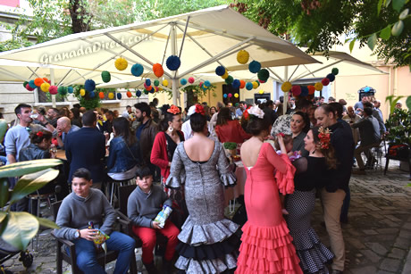 gente celebrando dia de la cruz en los bares de granada