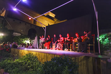 un grupo en el escenario cantando flamenco