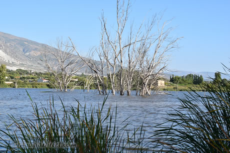 humedal cerca de granada para pasar verano