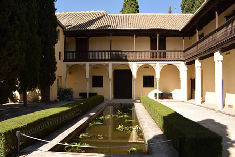 estanque de la casa del chapiz