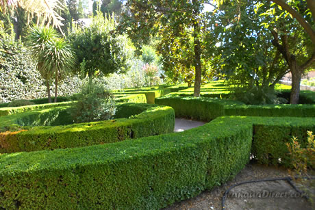 jardines verdes en la casa del chapiz