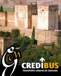 credibus pop in bus