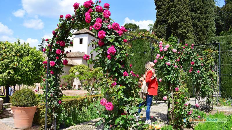 flores del generalife