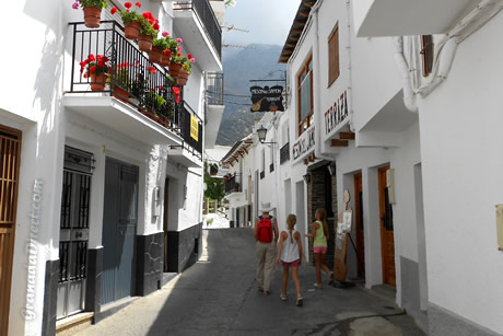 calles con calles blancas y flores en trevelez