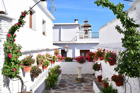 patiocon flores en portugos