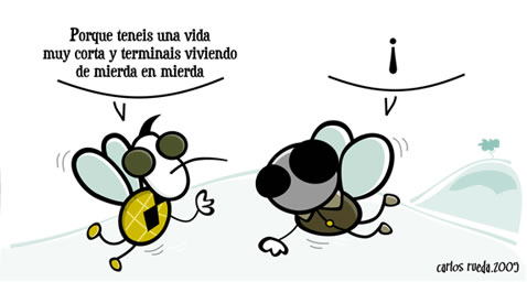 humor chiste mosca