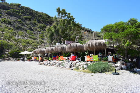 restaurante con plantas alrededor en la playa de cantarrijan