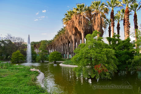 lago y palmeras en el parque de las americas en motril