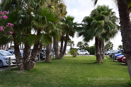 parking con coches aparcados entre las palmeras en la playa de granada