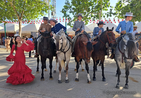 caballos y flamenco en granada