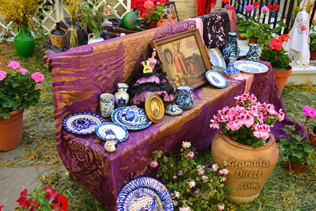 preciosos plantos en un banco en unos de los patios