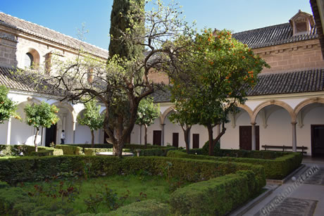 jardin del monasterio de la cartuja