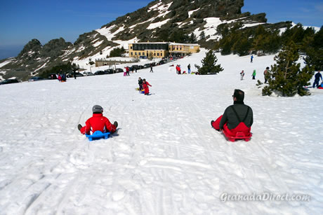 Trineos en Sierra Nevada - Alquiler y Precios, Hoya de la Mora