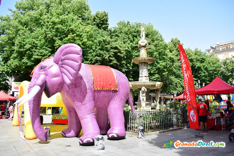 fiesta en bib rambla