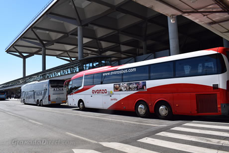 autobuses aparcados en frente del terminal del aeropuerto de malaga